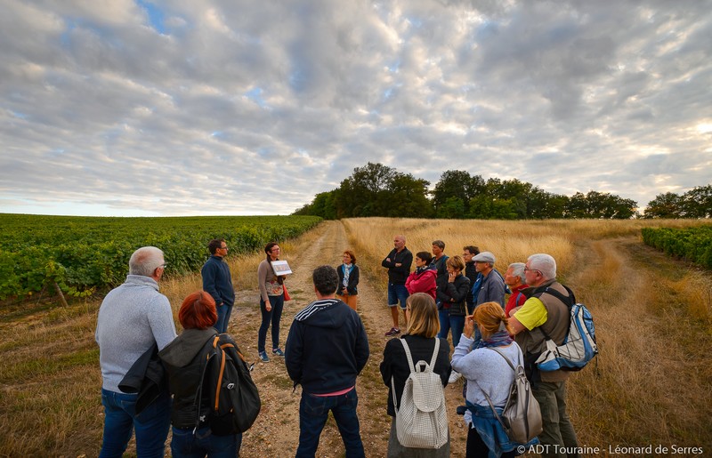 Rendez-Vous dans les Vignes