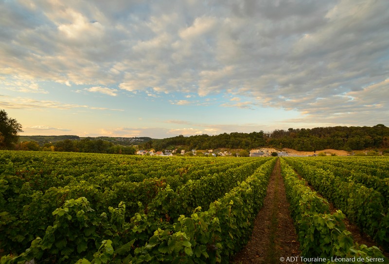 Rendez-Vous dans les Vignes, Chançay - photo 8