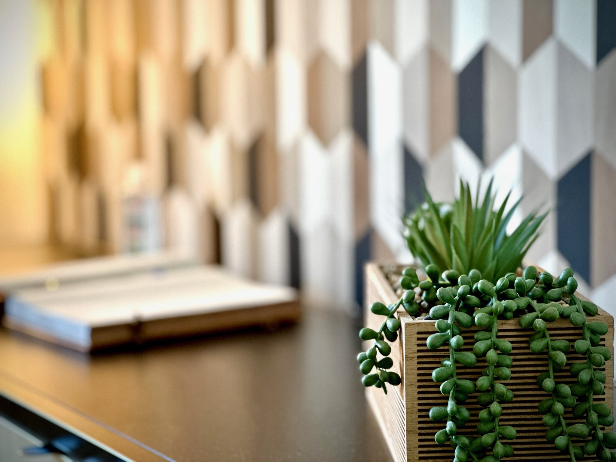 Le Petit Cardinal, Richelieu - photo 24