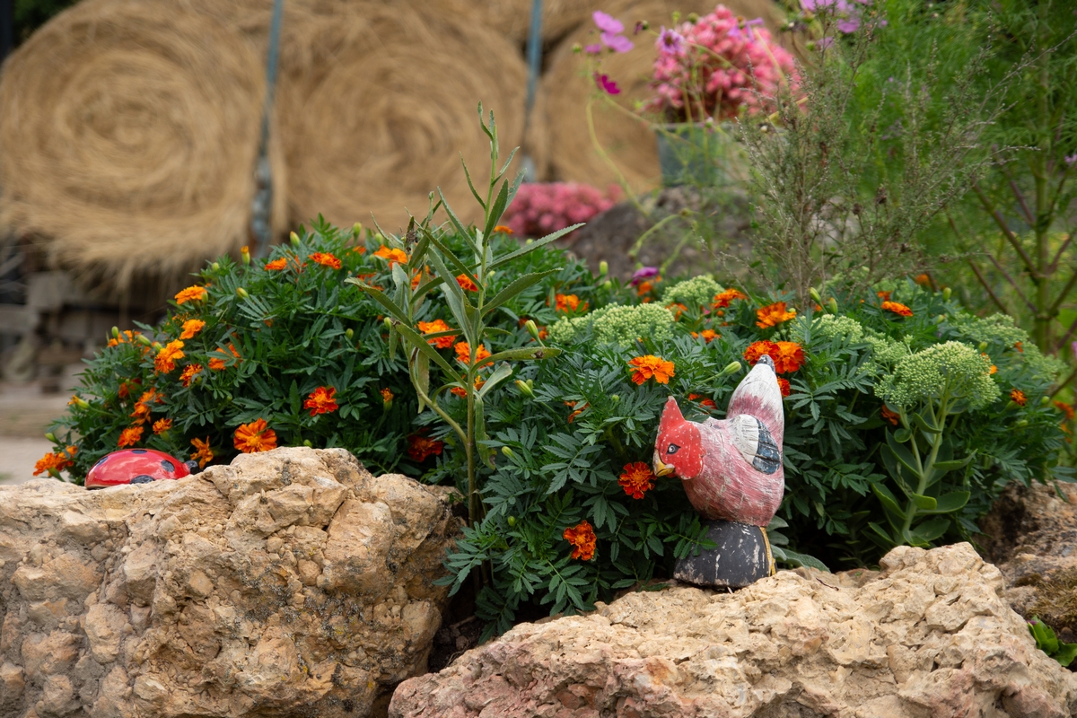 Le bourg Joly, Rigny-Ussé - photo 16