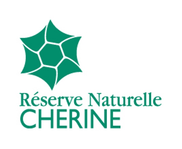 Observatoire de l'étang des Essarts (Réserve naturelle de Chérine)  France Centre-Val de Loire Indre Saint-Michel-en-Brenne 36500
