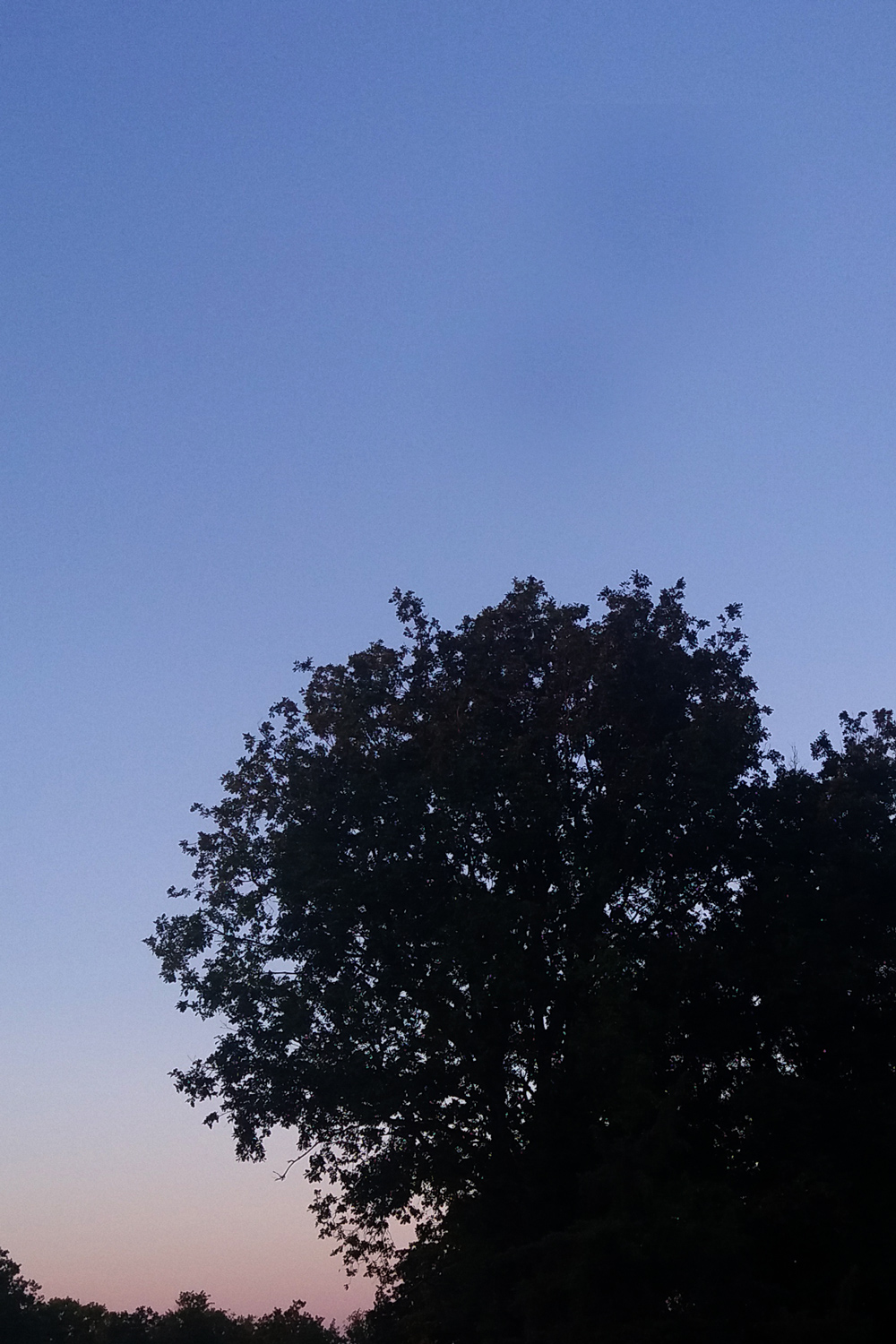 Quand la nuit se lève sur la réserve naturelle