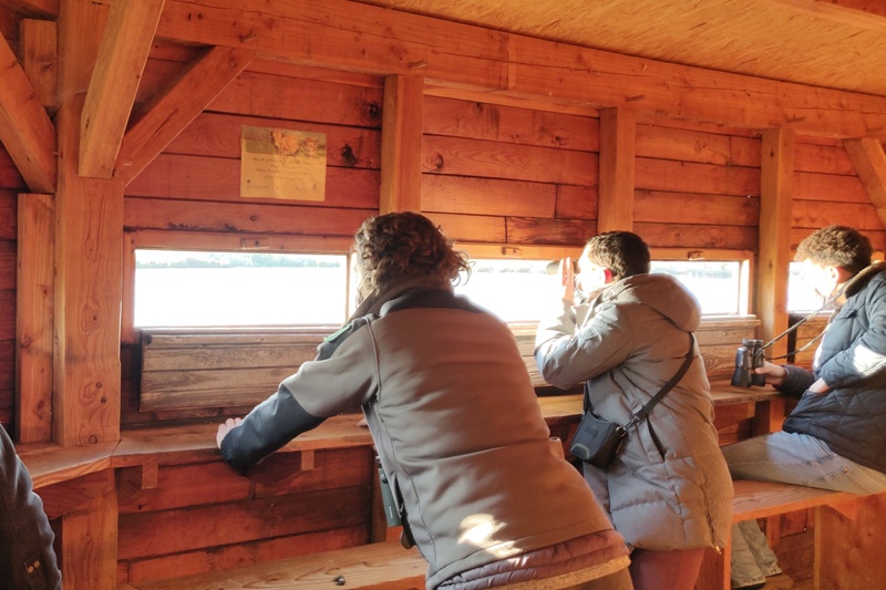 Observatoire de l'étang Massé (Réserve naturelle régionale Terres et étangs de Brenne Massé-Foucault), Rosnay - photo 4