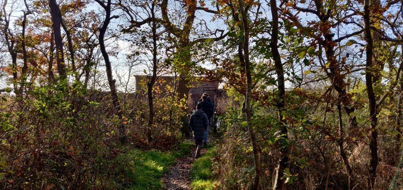 Observatoire de l'étang Massé (Réserve naturelle régionale Terres et étangs de Brenne Massé-Foucault), Rosnay