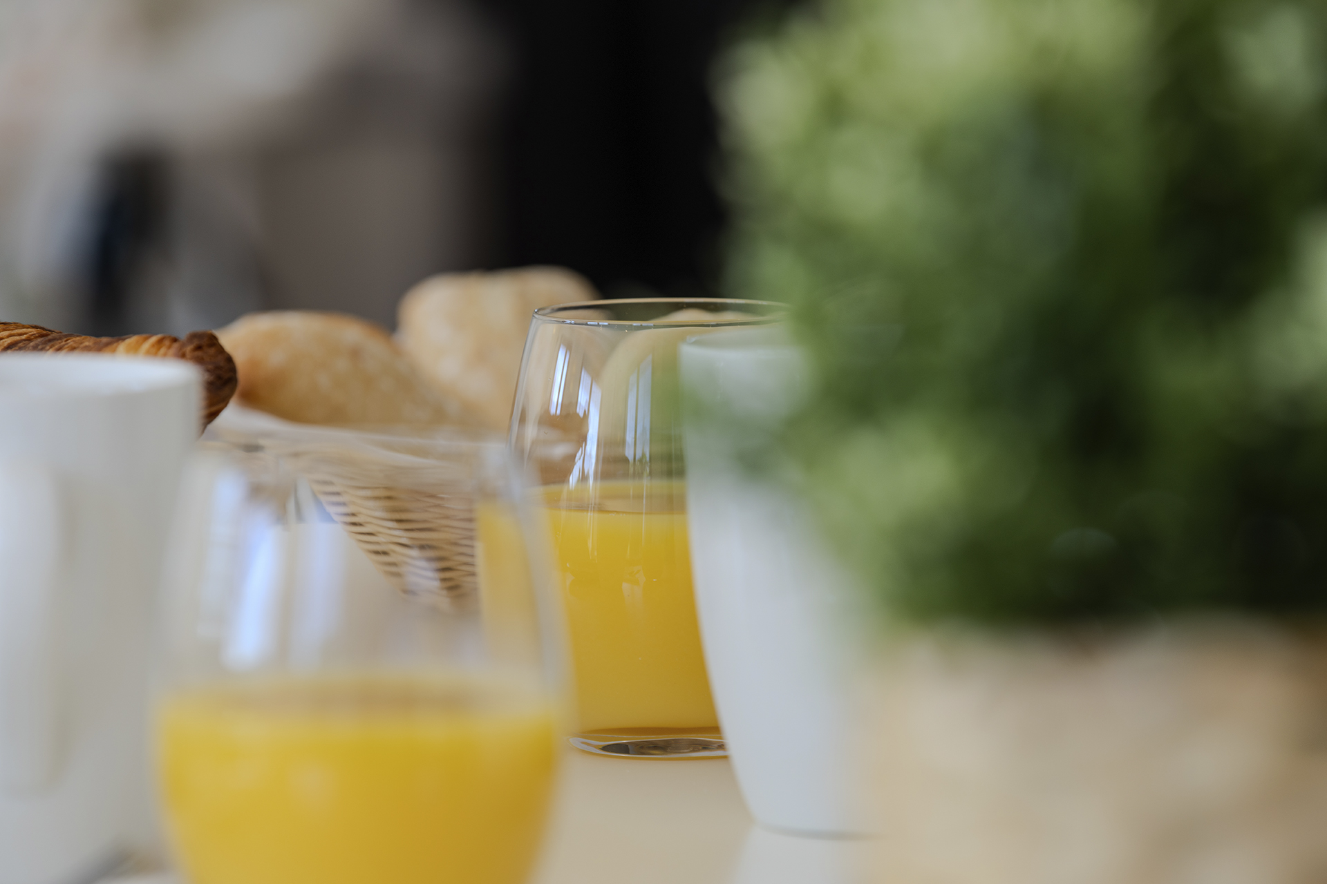 Relais touraine sologne - hôtels de beauval, Montrichard Val de Cher - photo 17