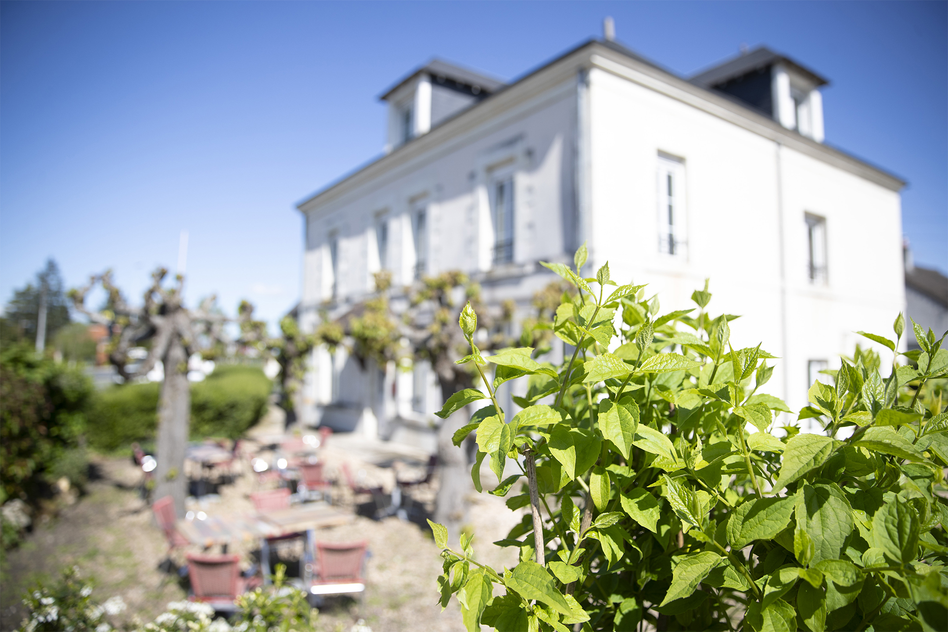 Relais touraine sologne - hôtels de beauval, Montrichard Val de Cher - photo 3