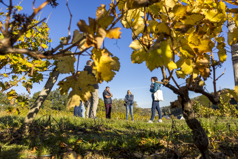 Rendez-Vous dans les Vignes, Chançay - photo 19