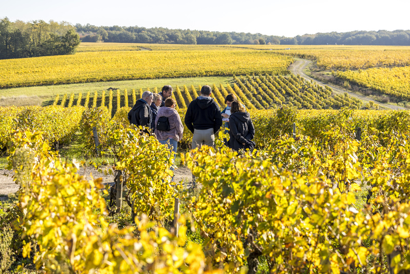 Rendez-Vous dans les Vignes, Chançay - photo 18