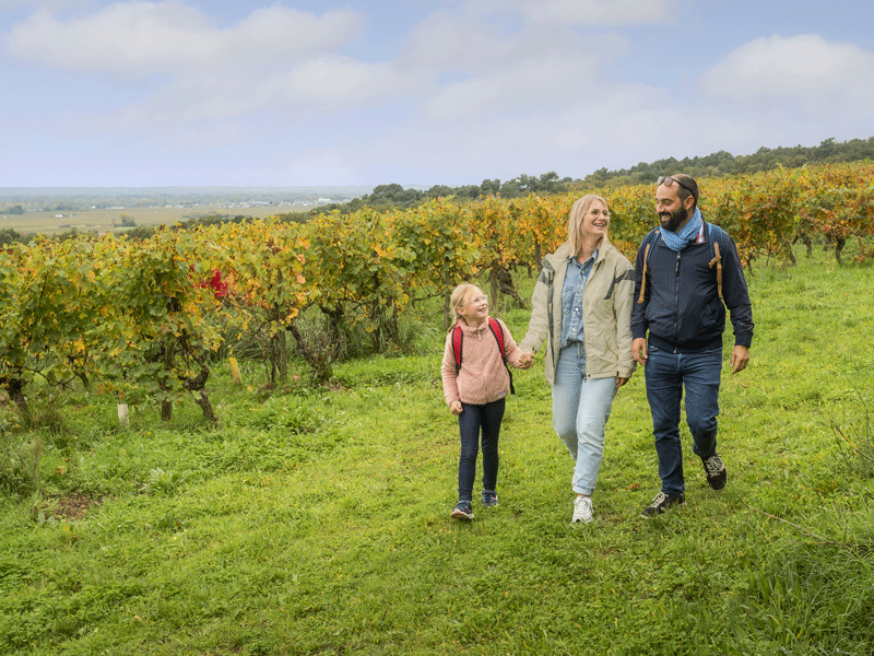 De verts coteaux au blanc tuffeau