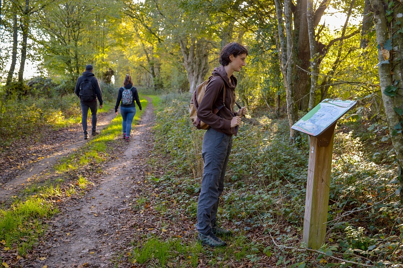 Circuit du vieux bocage