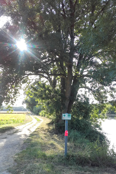 Randonnée sur les bords du Cher, Chenonceaux