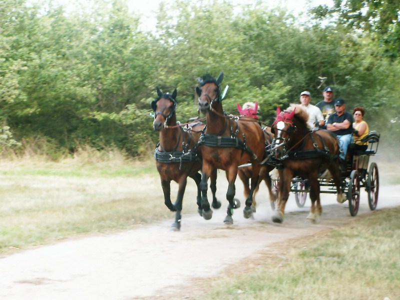 Randonnée de la Brenne, Mézières-en-Brenne - photo 2