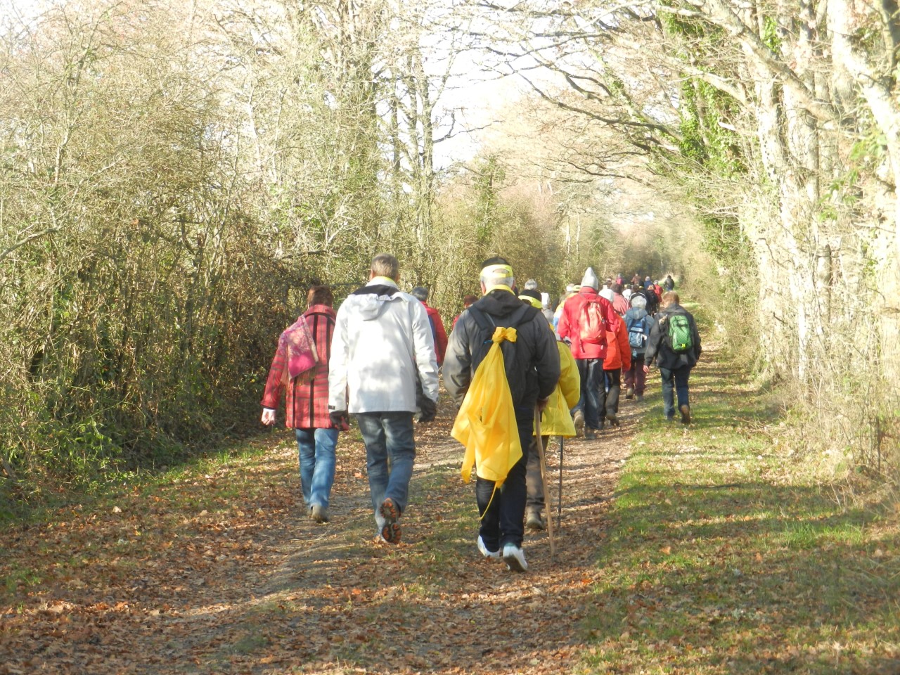 Rando de l'Espoir - Boucle à Sully sur Loire