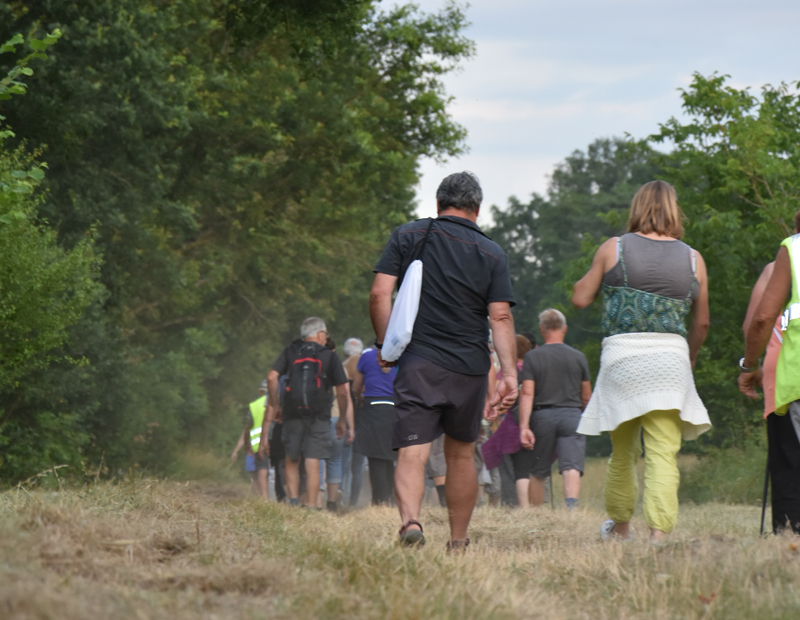 Randonnée de l'écotourisme