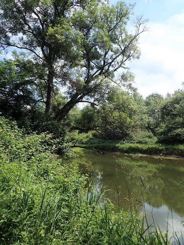 Randonnée du bocage de Bois Chétif, Huismes - photo 3