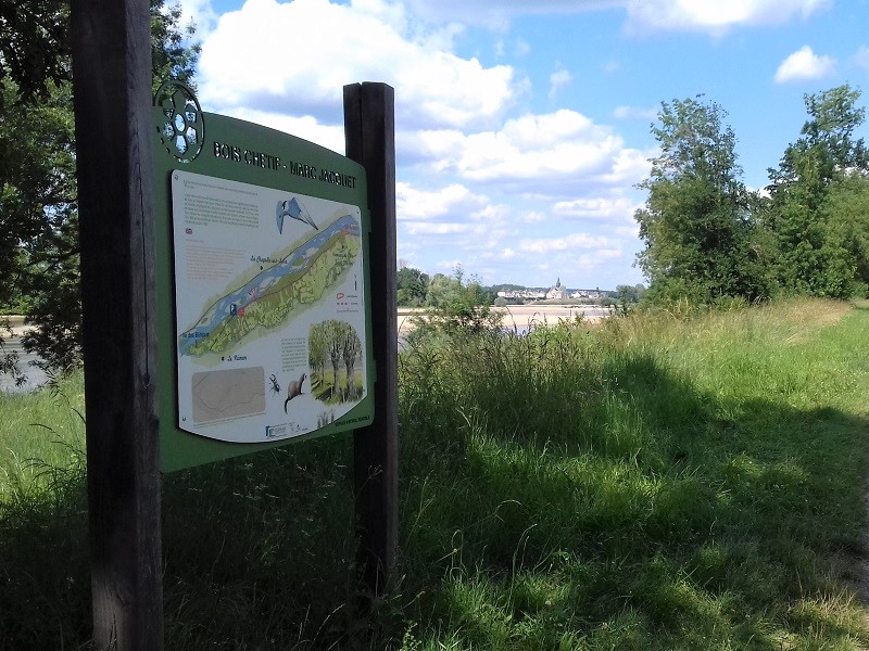 Randonnée du bocage de Bois Chétif, Huismes - photo 5