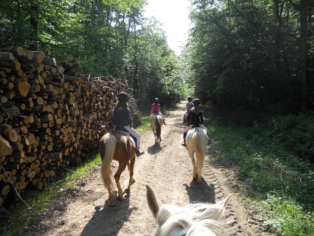 Les Ecuries des Couleurs