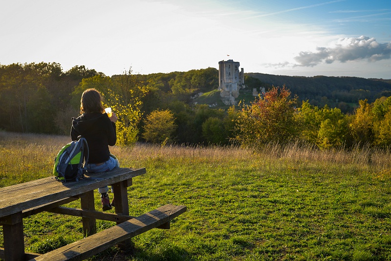 Chemin de la roue des carriers