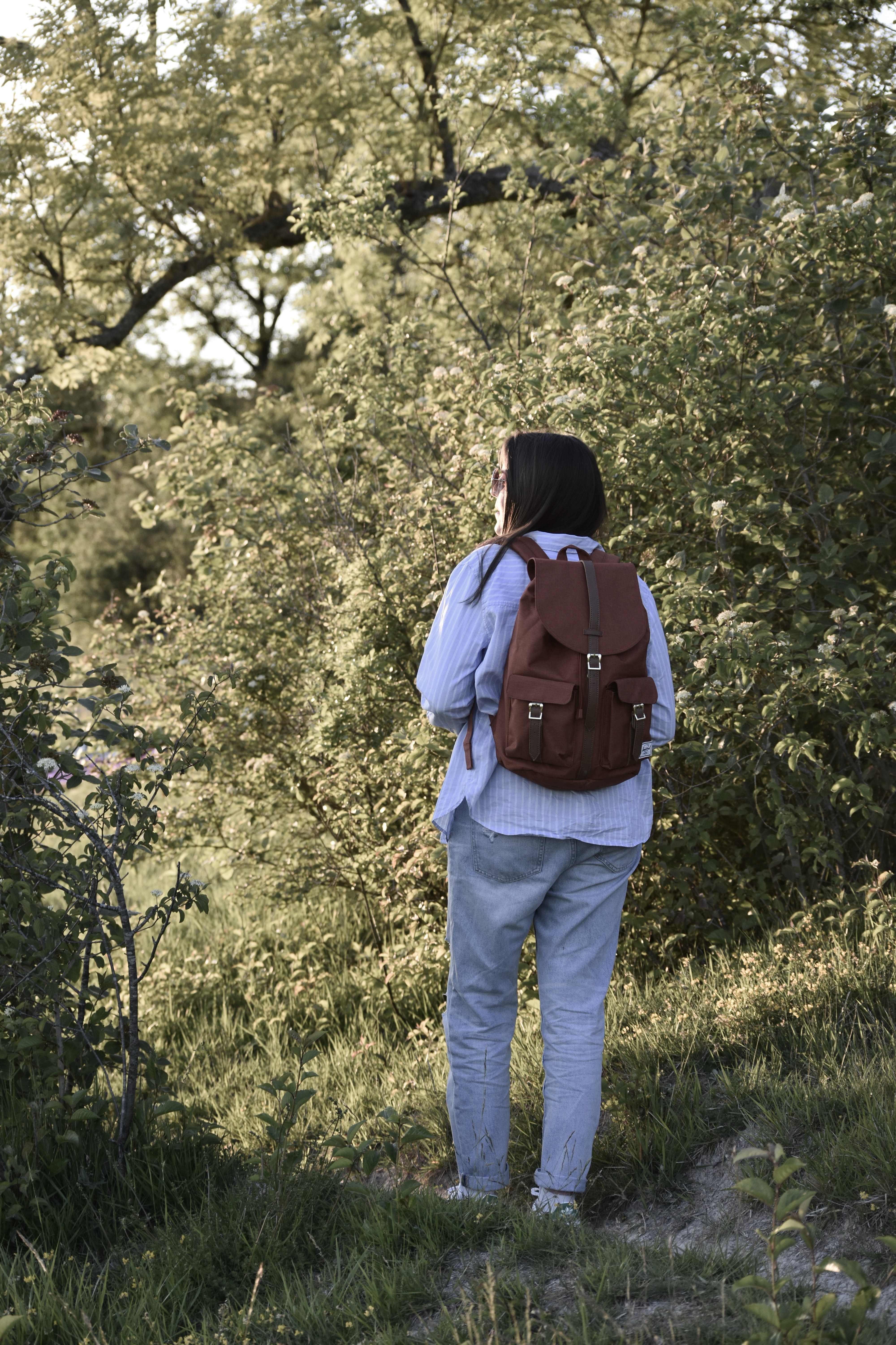 Coteaux Mézières-Ecluzelles-Charpont, Écluzelles - photo 6