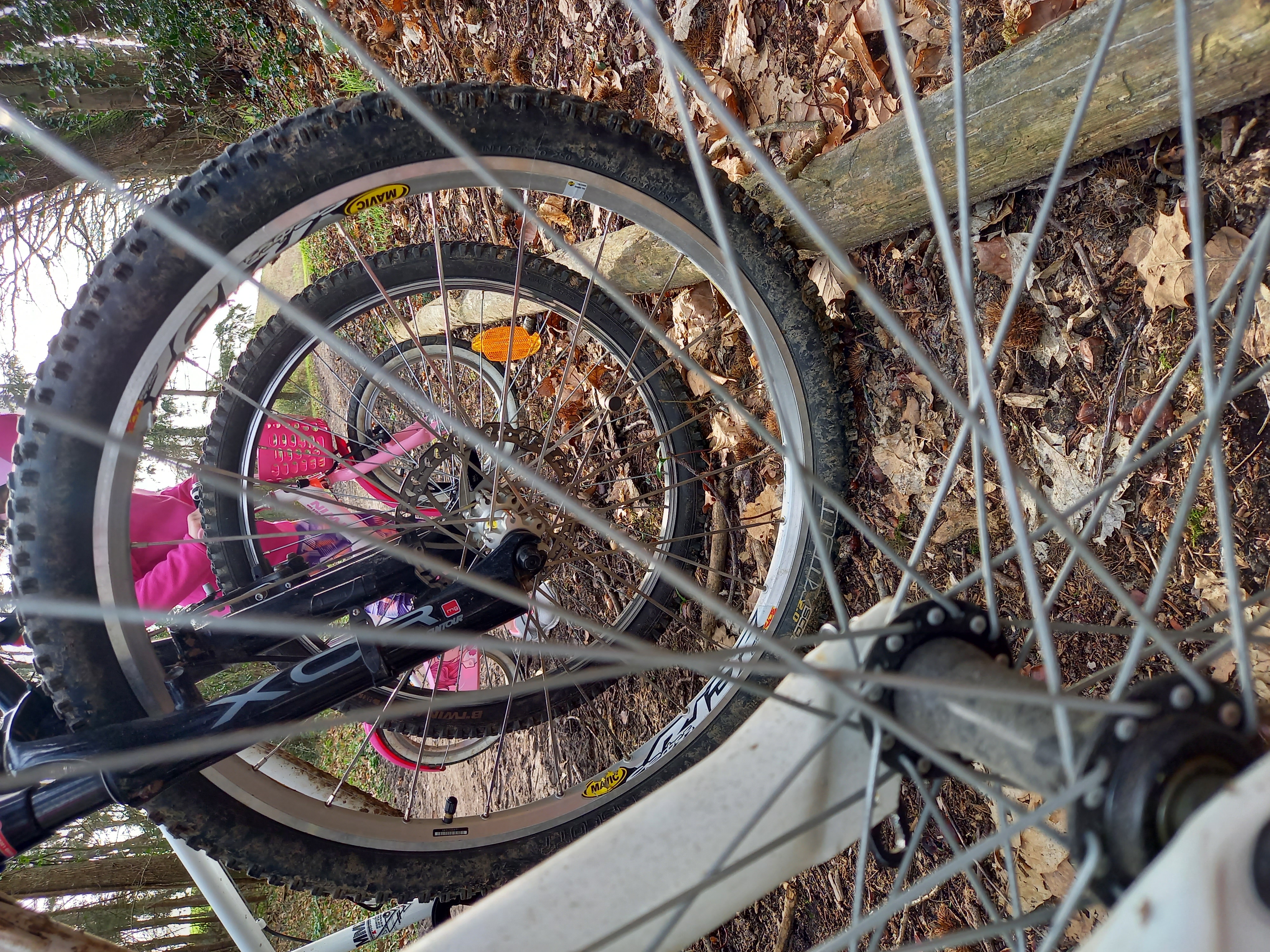 Balade vélo gourmande à Montoire-sur-le Loir — visuel événement