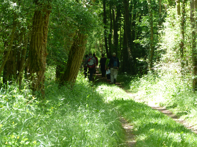 Circuit de la croix de pierre