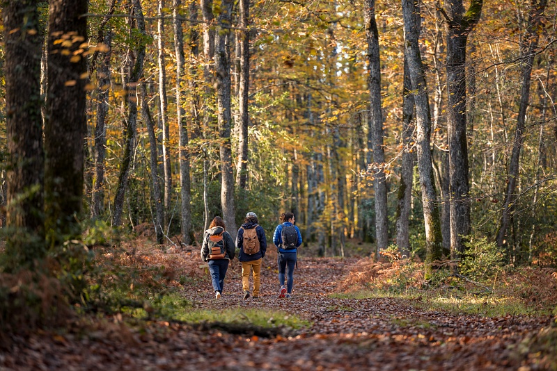 Circuit de l'Ardrelle