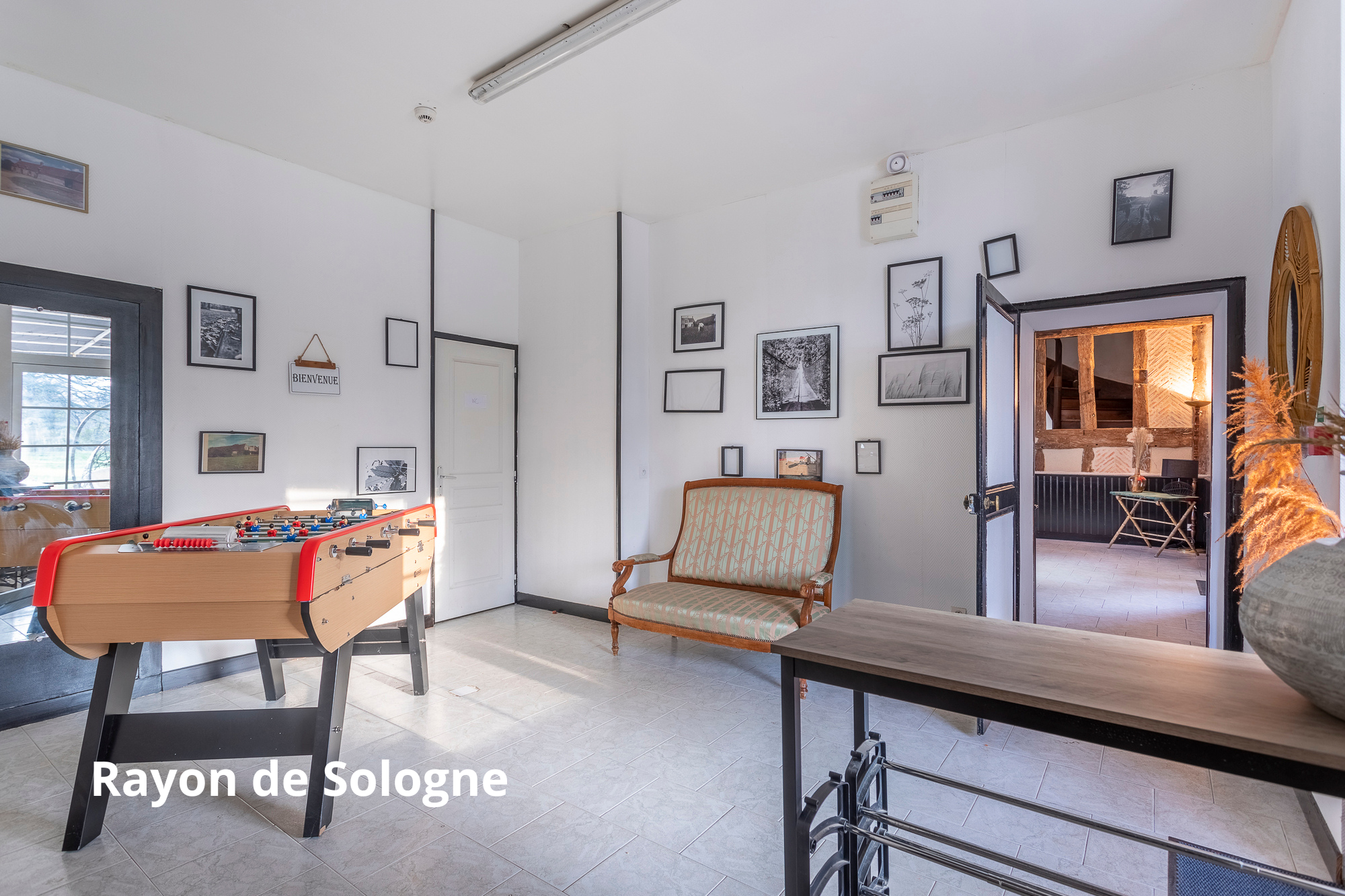 Le manoir - Rayon de Sologne, Langon-sur-Cher - photo 6