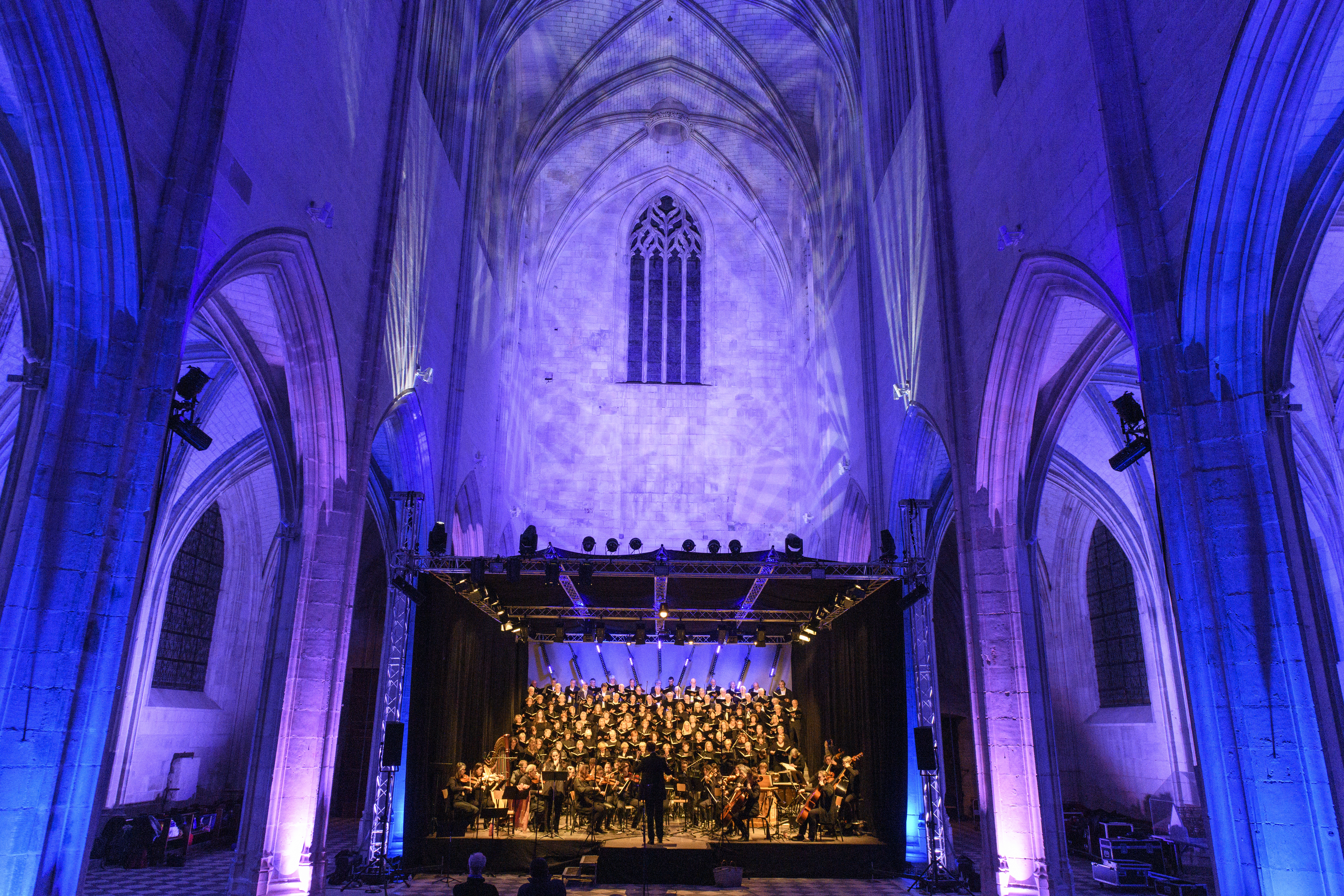 Concert de l'association Lumières sur Notre-Dame de Cléry, Cléry-Saint-André - photo 2