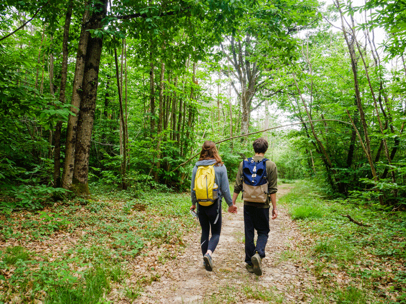 La Gâtine Tourangelle