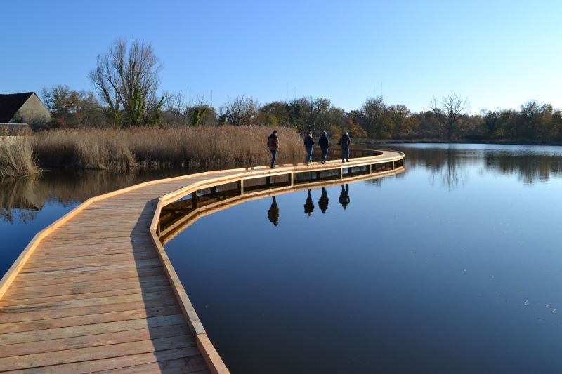 Passerelle de Valmicky (Réserve naturelle régionale Terres et étangs de Brenne Massé-Foucault)