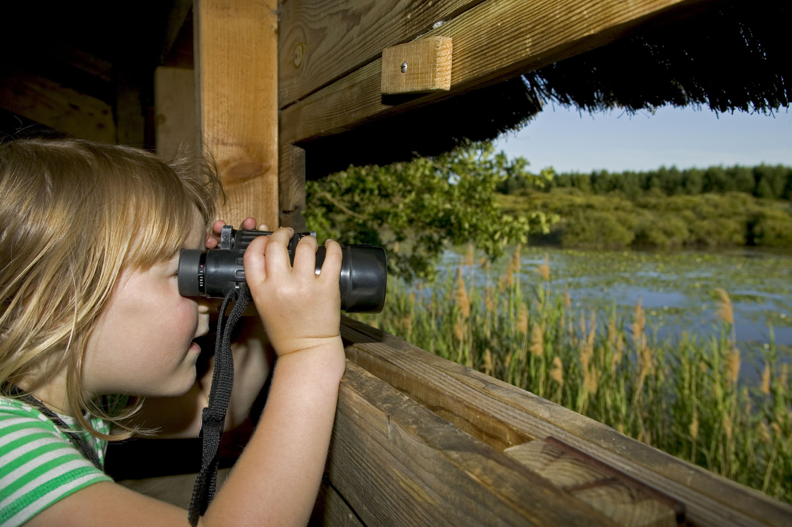 Réserve Naturelle Nationale de Chérine, Saint-Michel-en-Brenne