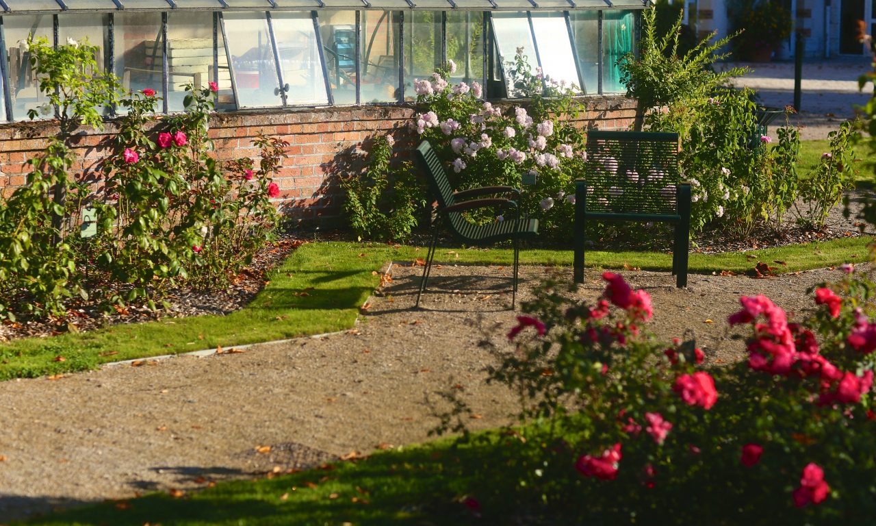 Le jardin de roses du château, Saint-Jean-le-Blanc - photo 11