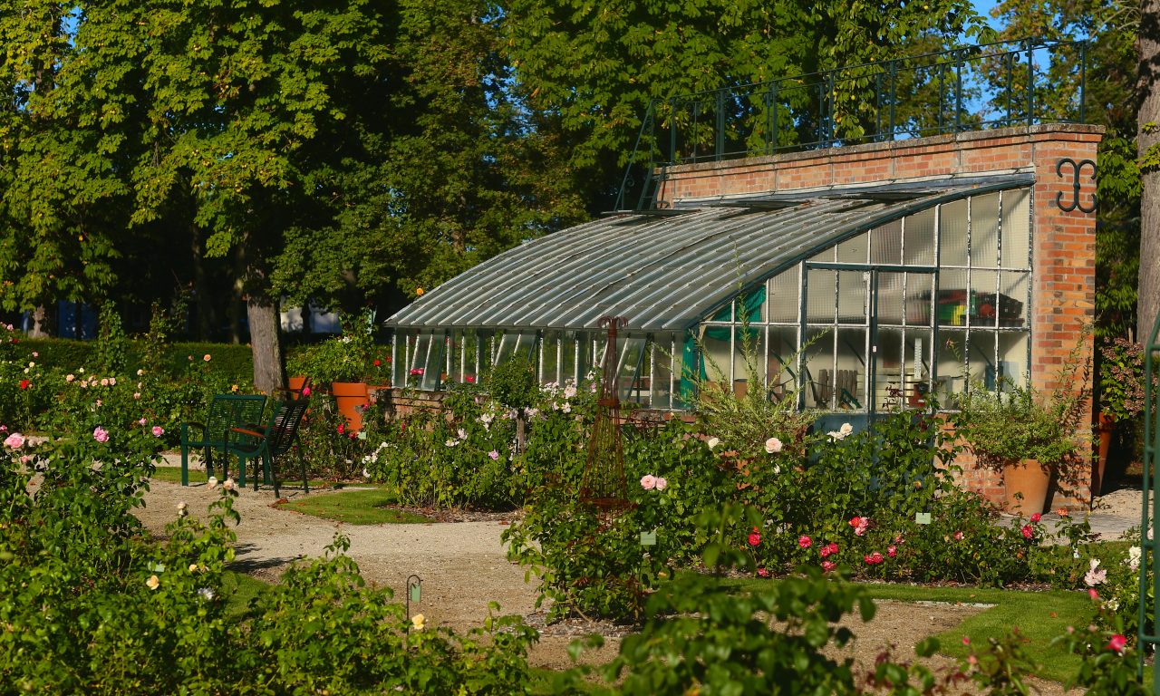 Le jardin de roses du château, Saint-Jean-le-Blanc - photo 18