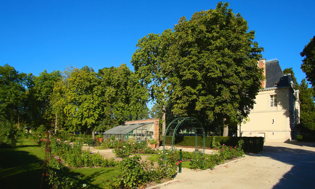 Le jardin de roses du château, Saint-Jean-le-Blanc - photo 12
