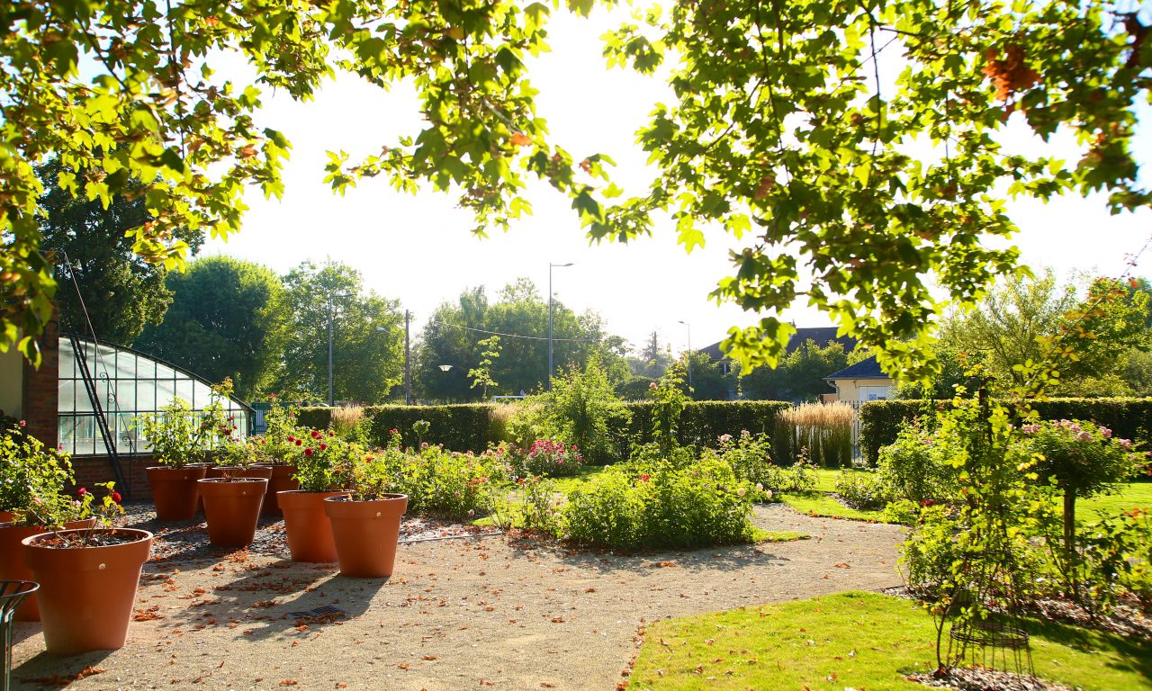 Le jardin de roses du château, Saint-Jean-le-Blanc - photo 5