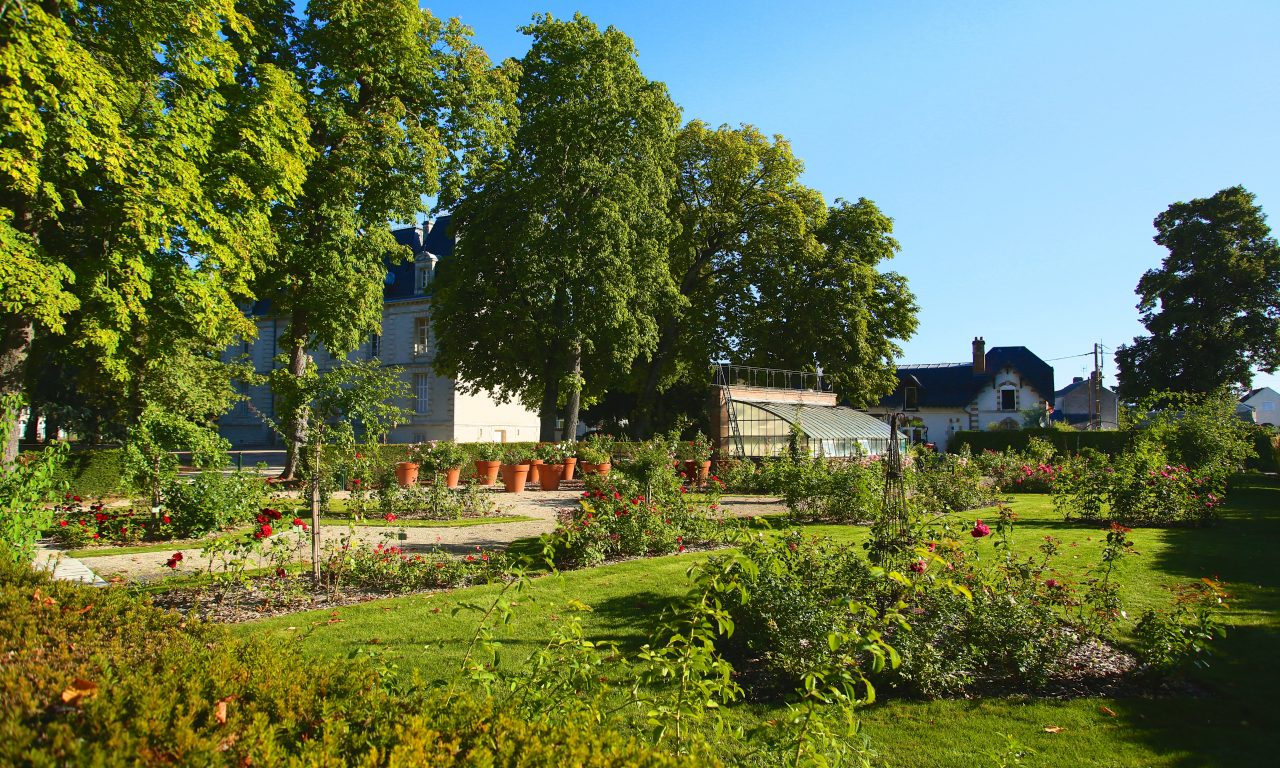 Le jardin de roses du château, Saint-Jean-le-Blanc - photo 10