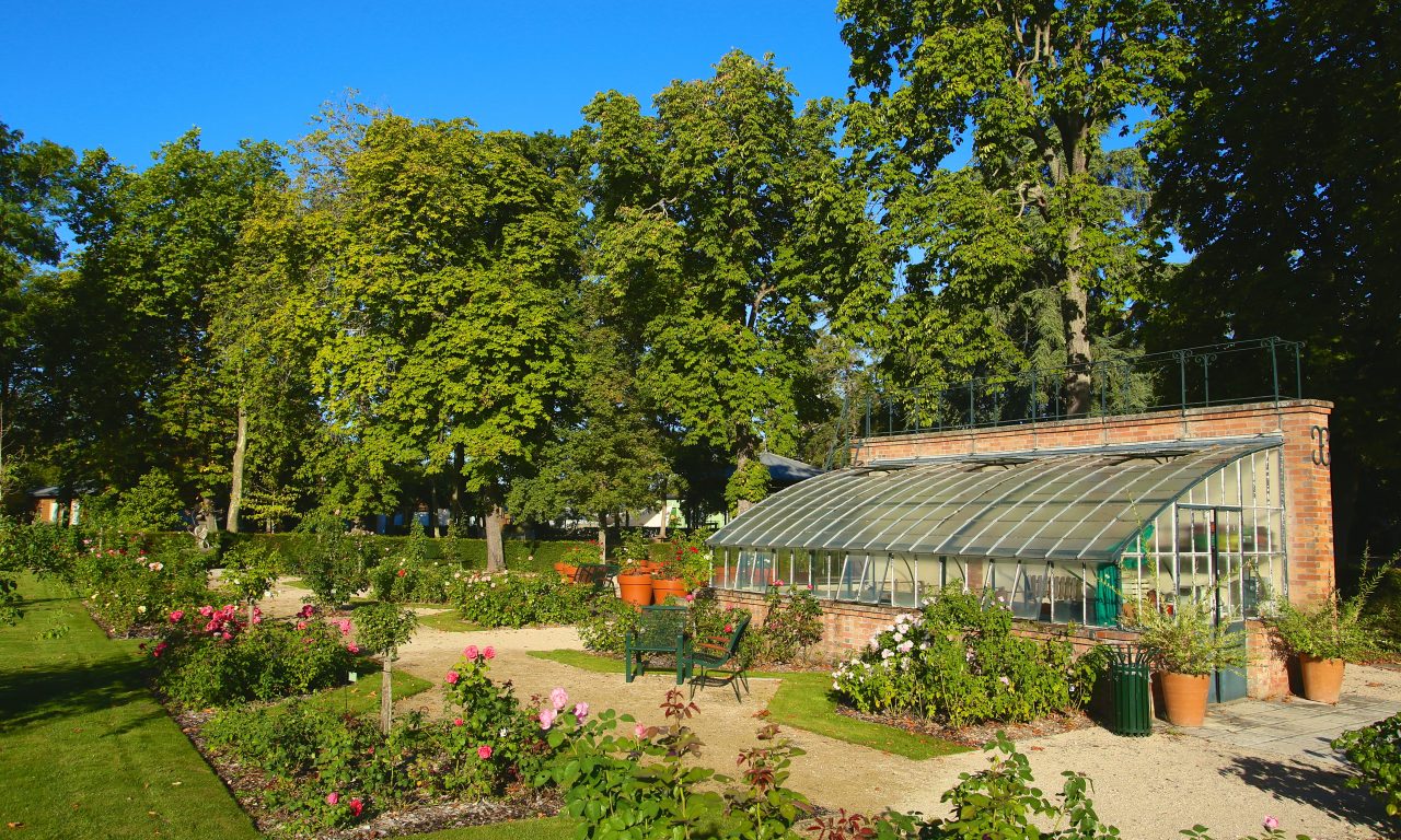 Le jardin de roses du château, Saint-Jean-le-Blanc - photo 17
