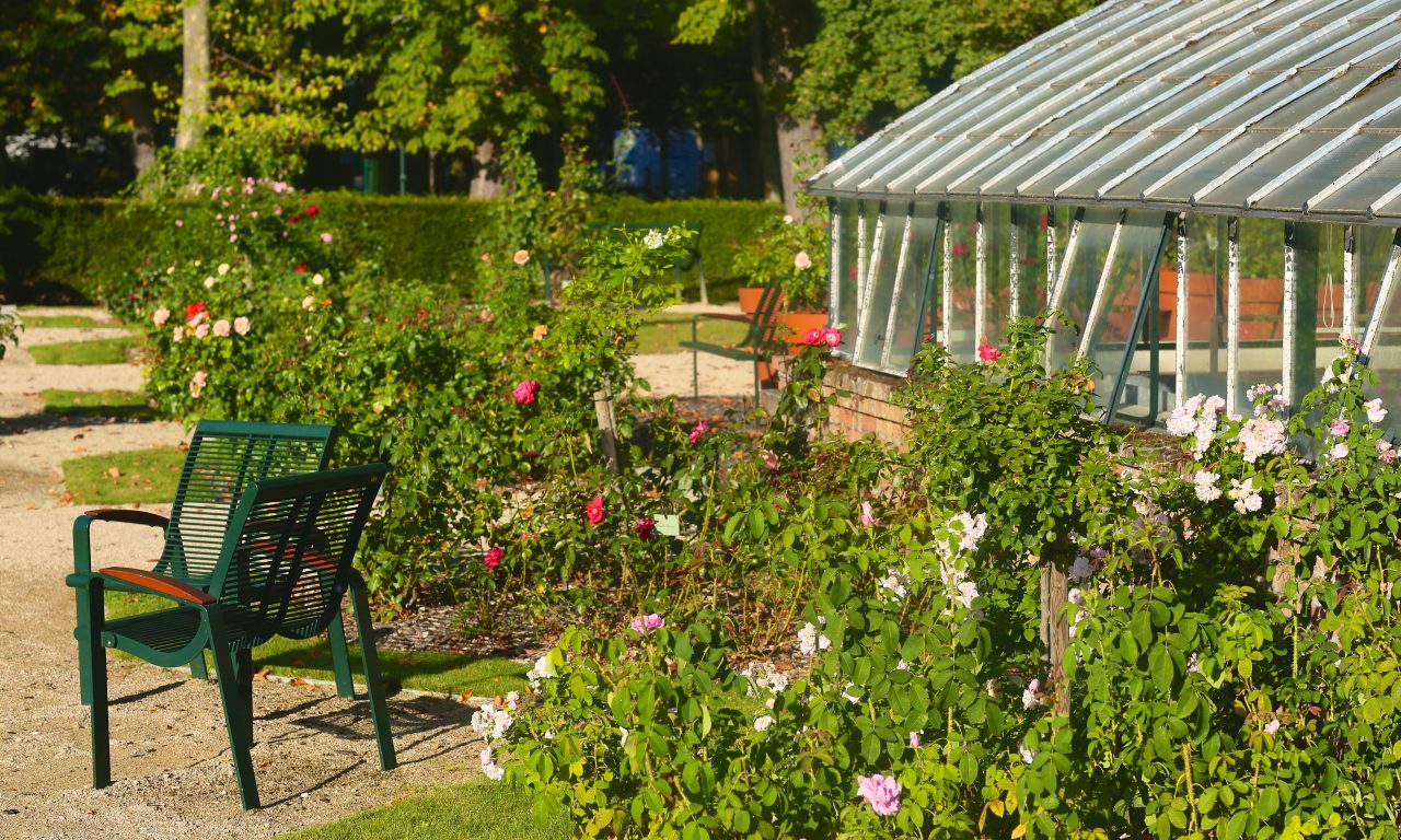 Le jardin de roses du château, Saint-Jean-le-Blanc - photo 15