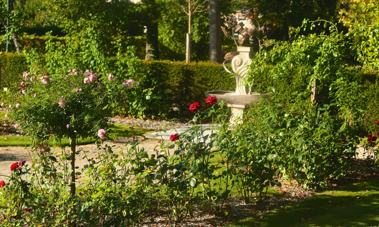 Le jardin de roses du château, Saint-Jean-le-Blanc