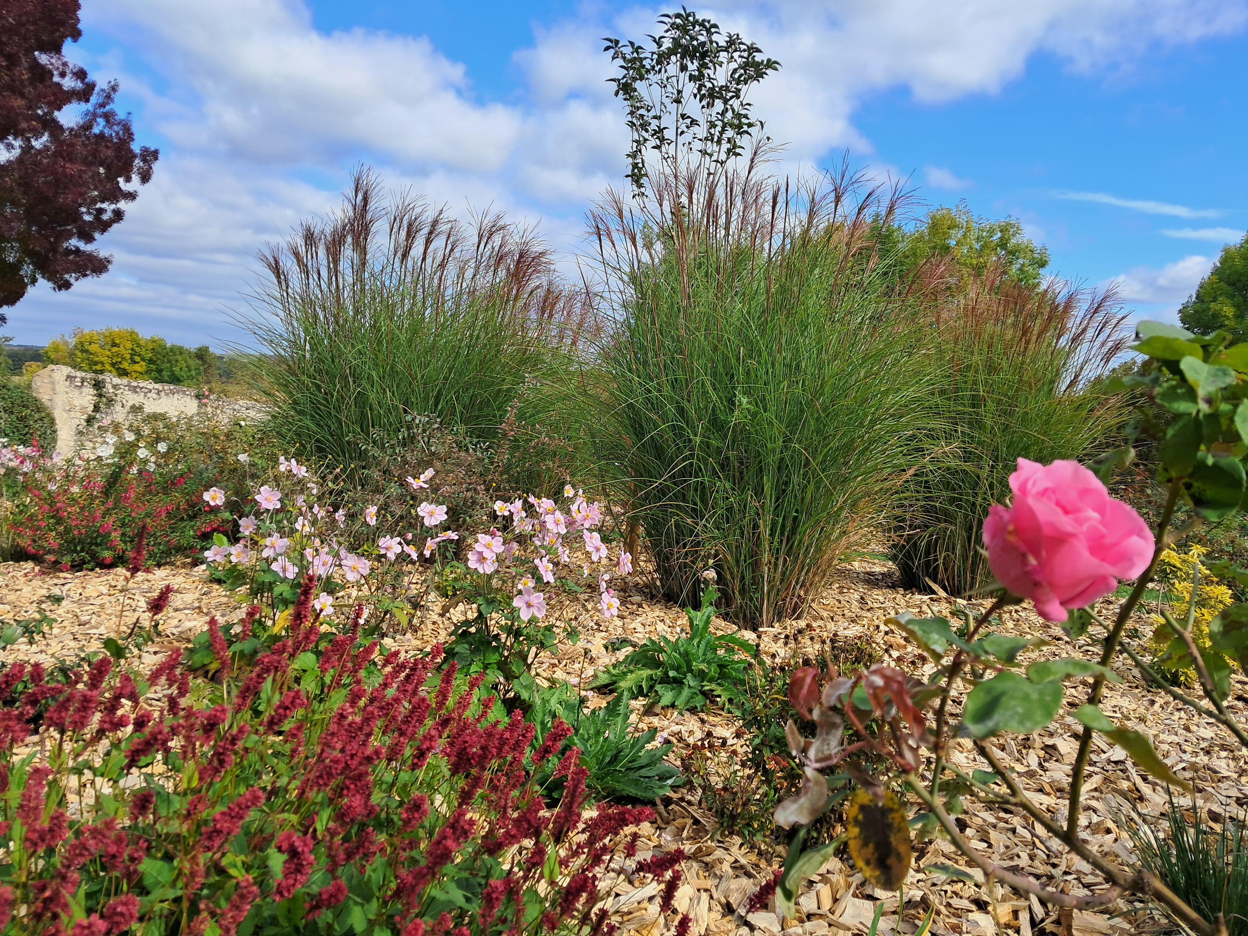 Jardin des 5 sens - Parc de la Maison Marret, Beaulieu-sur-Loire - photo 6