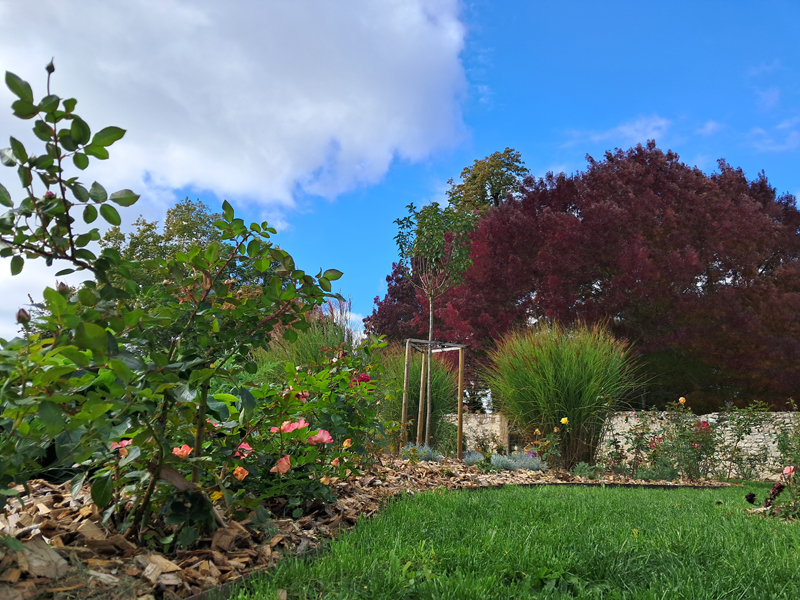 Jardin des 5 sens - Parc de la Maison Marret, Beaulieu-sur-Loire - photo 9