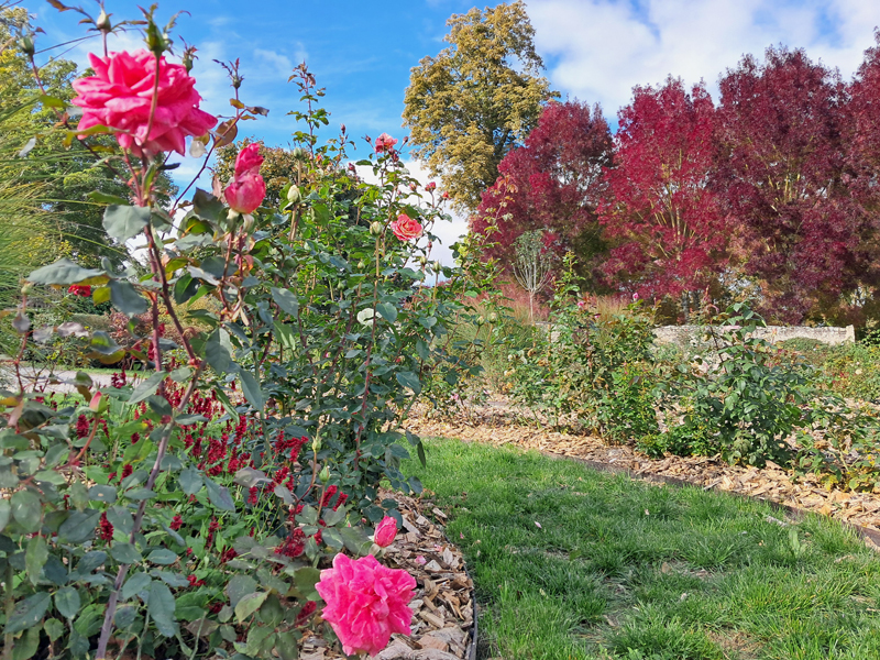 Jardin des 5 sens - Parc de la Maison Marret — Curiosités naturelles à Loiret