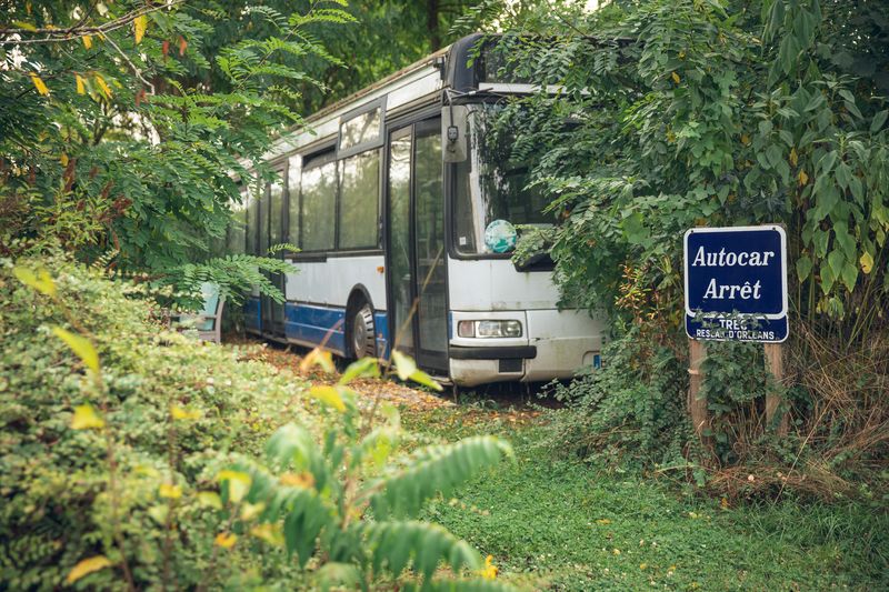 Phirisse et le petit caillou - ferme d'animation, Dry - photo 2