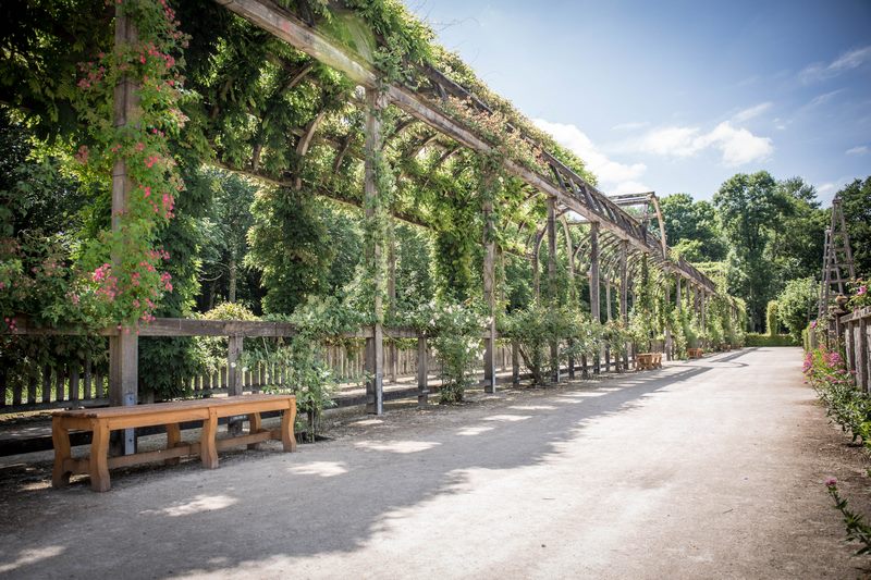Château de Chamerolles, Chilleurs-aux-Bois - photo 11