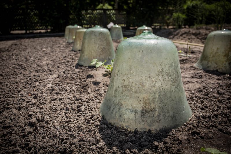 Château de Chamerolles, Chilleurs-aux-Bois - photo 5