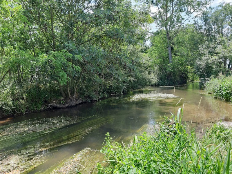 Aire de pique-nique à Baulette, Baule - photo 5