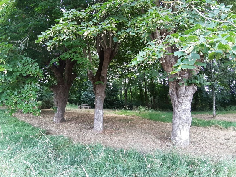 Aire de pique-nique à Baulette, Baule - photo 2
