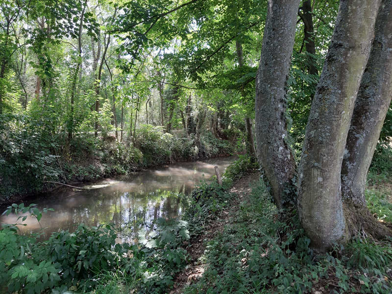 Aire de pique-nique à Baulette, Baule - photo 4
