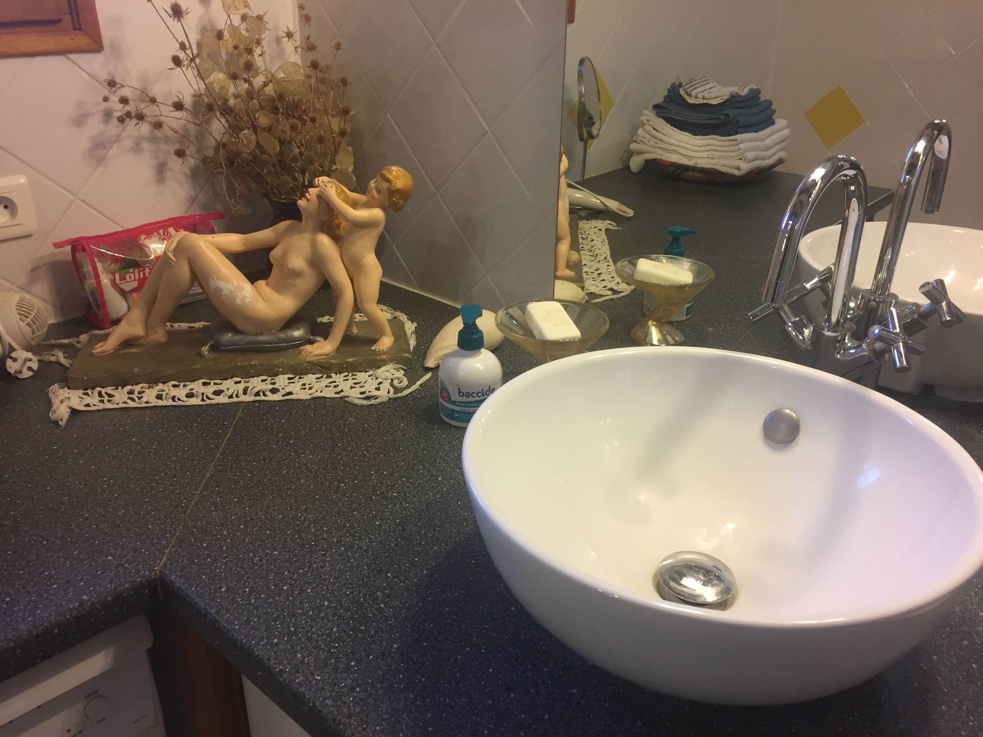 Lys en Val, Saché - photo 21