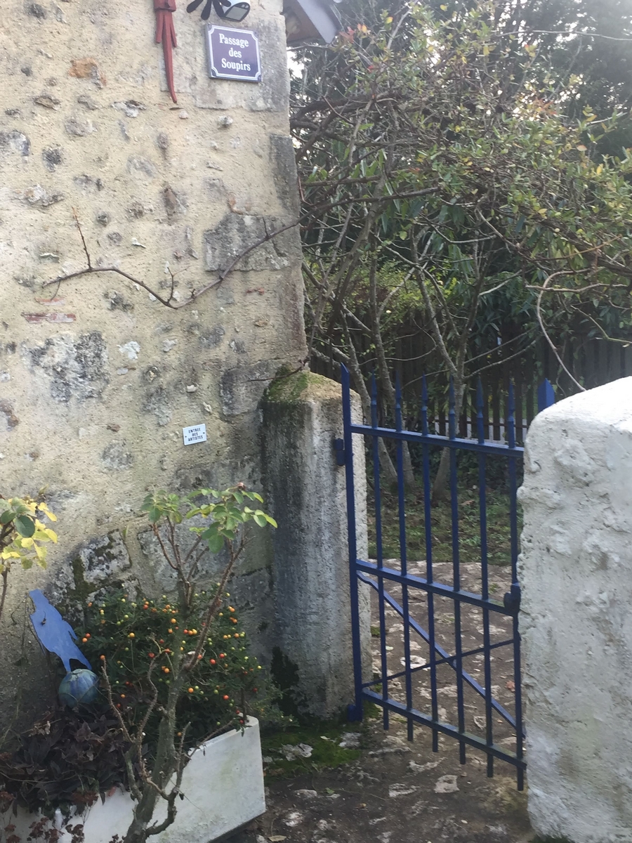 Lys en Val, Saché - photo 23